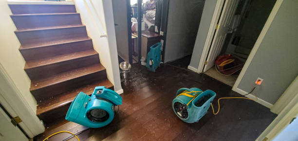 Best 24-hour water damage restoration  in Grapevine, TX