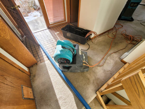 Best Water damage restoration near me  in Grapevine, TX