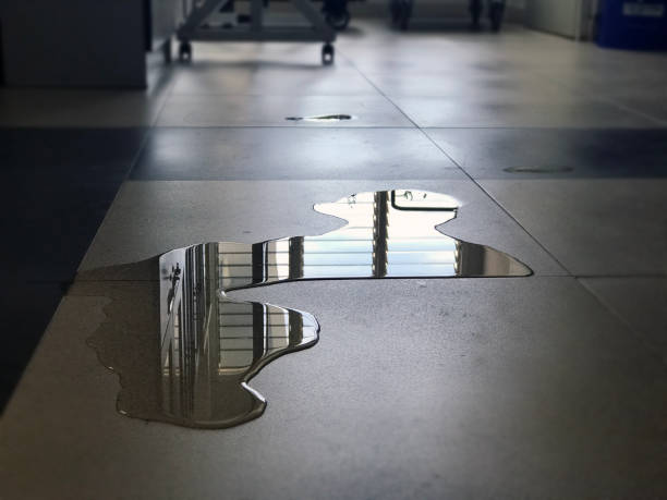 Best Professional water damage repair  in Grapevine, TX