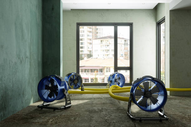 Best Local water damage restoration  in Grapevine, TX